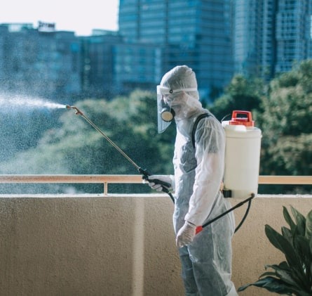 Advanced Pest and Termite Protection for Australian Homes